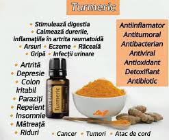 Turmeric – Curcuma longa – 15 ml