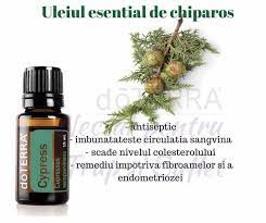 Ulei esential de Chiparos (Cypress) -15 ml DoTerra